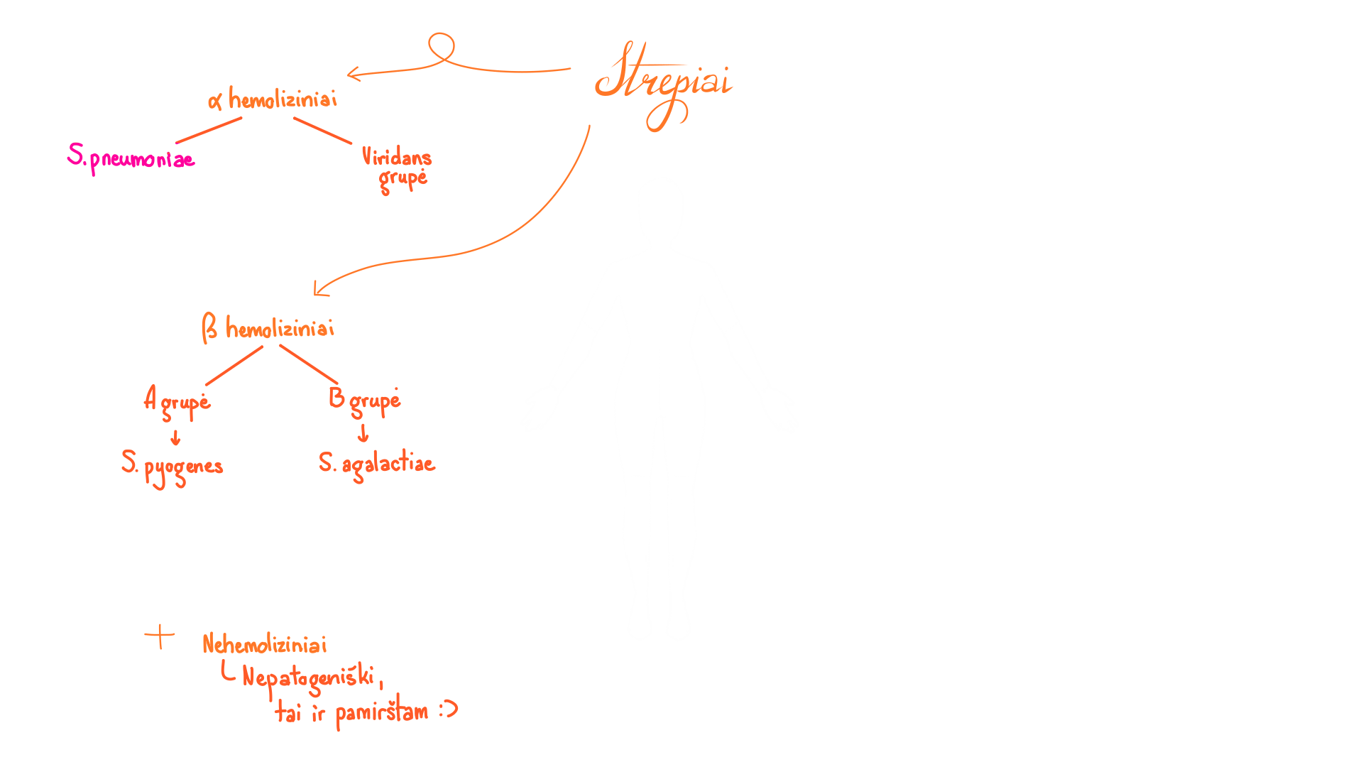 Strepiai 1
