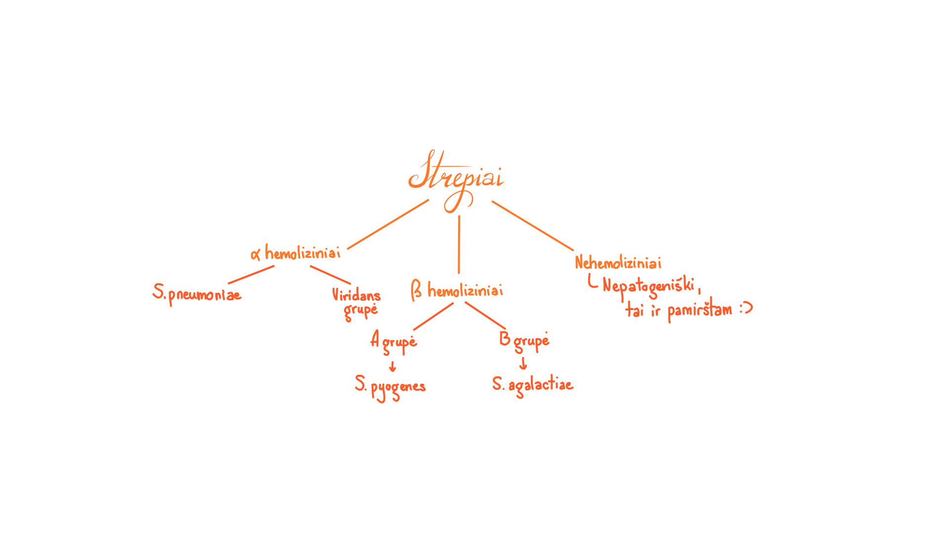 Strepiai 1
